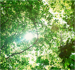 ヌマセン株式会社外観